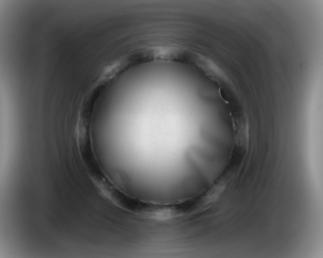 X0000084000456200703091909