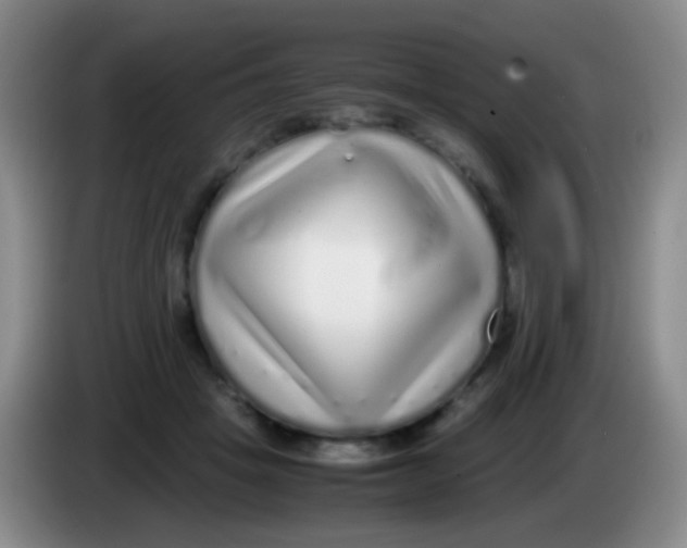 X0000084000457200703091909