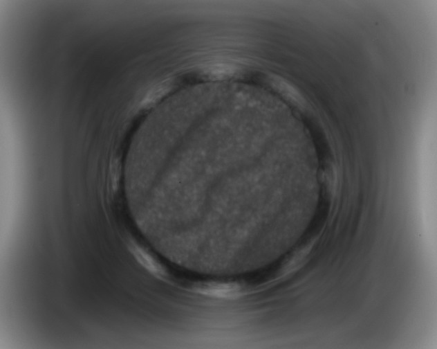 X0000084000458200703091909