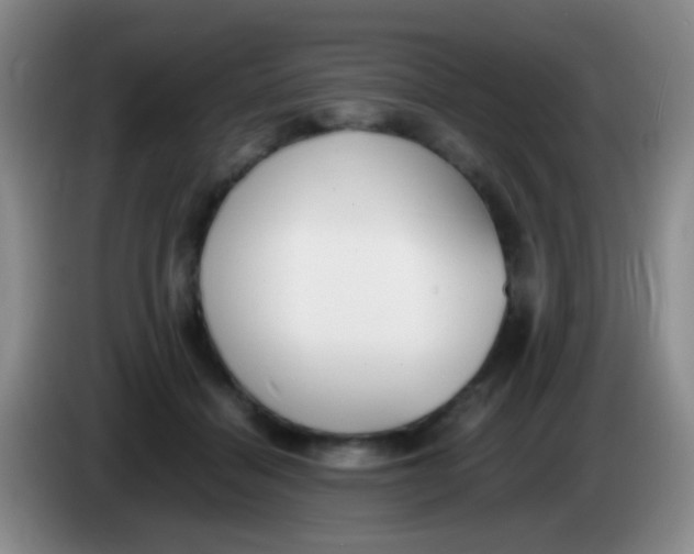 X0000084000460200703091909