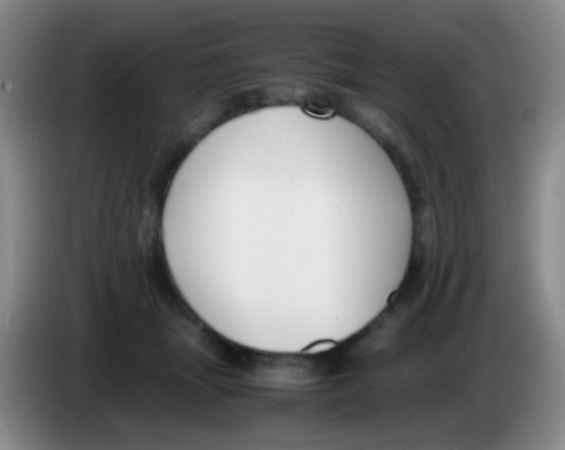 X0000084000463200703091909