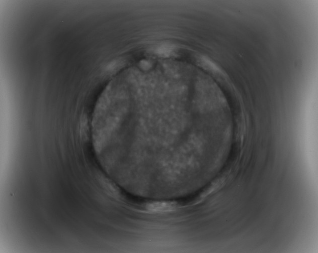 X0000084000465200703091909