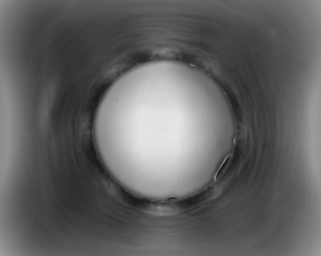 X0000084000466200703091909