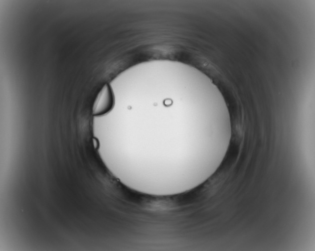 X0000084000468200703091909