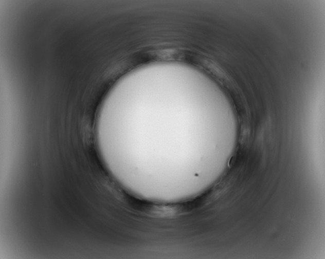 X0000084000469200703091909