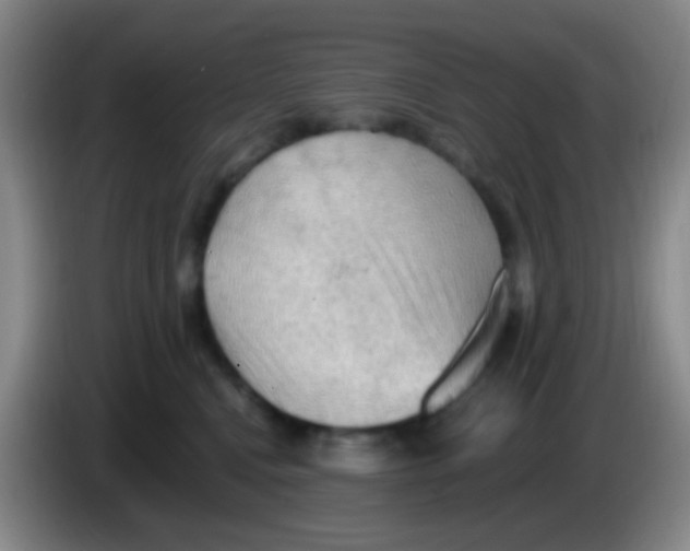 X0000084000472200703091910