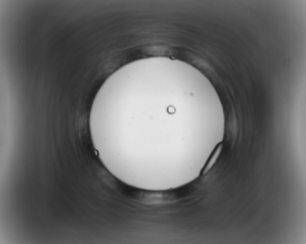 X0000084000473200703091910