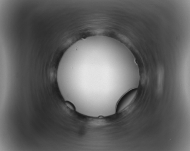 X0000084000476200703091910