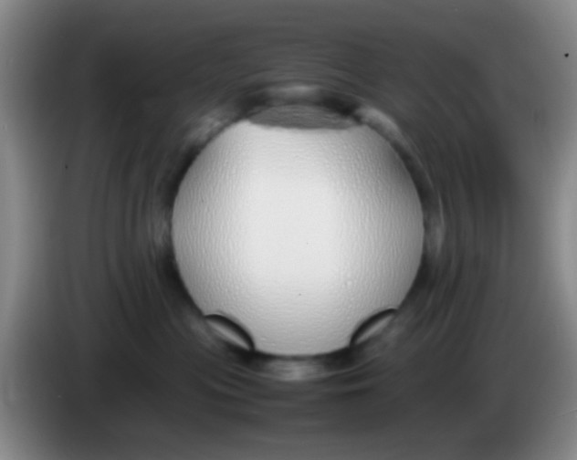 X0000084000477200703091910
