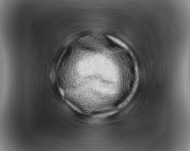 X0000084000479200703091910