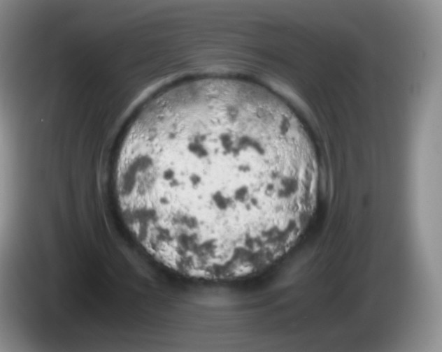 X0000084000483200703091909