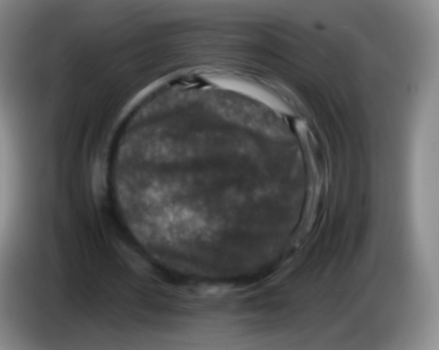 X0000084000484200703091909
