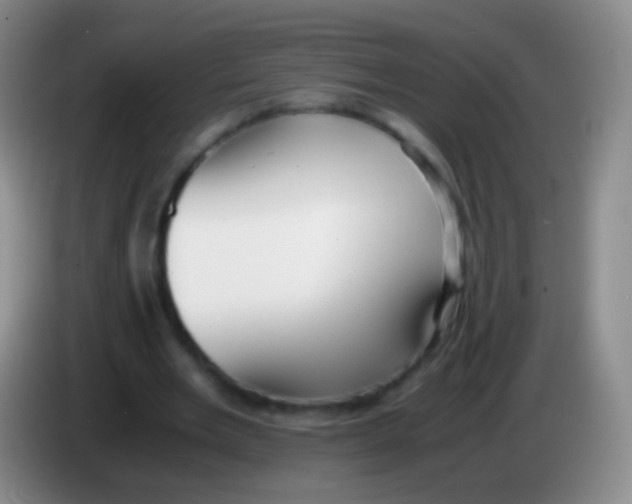 X0000084000485200703091909