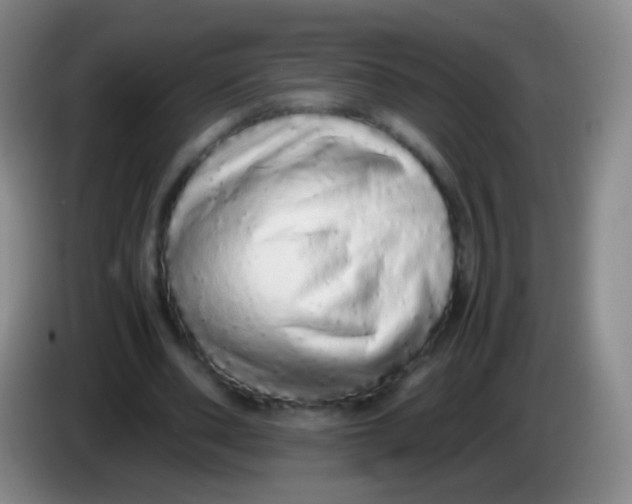 X0000084000486200703091909