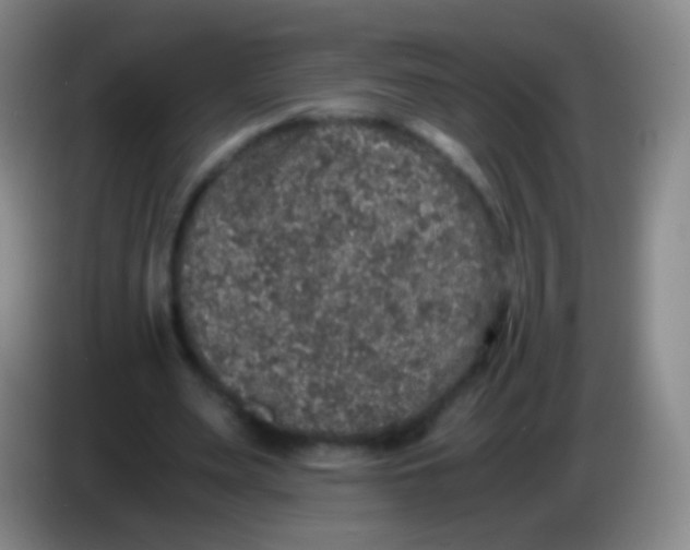 X0000084000487200703091909