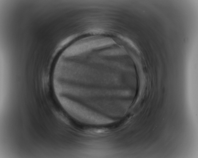 X0000084000488200703091909