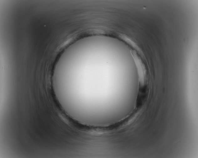 X0000084000489200703091909