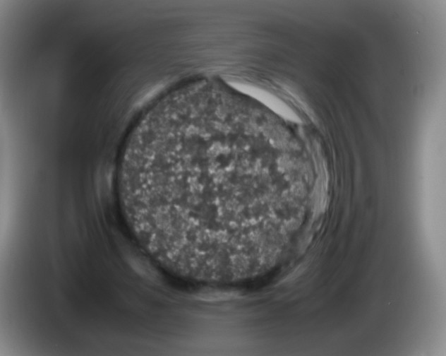 X0000084000491200703091909