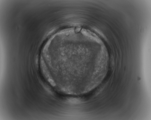 X0000084000494200703091909