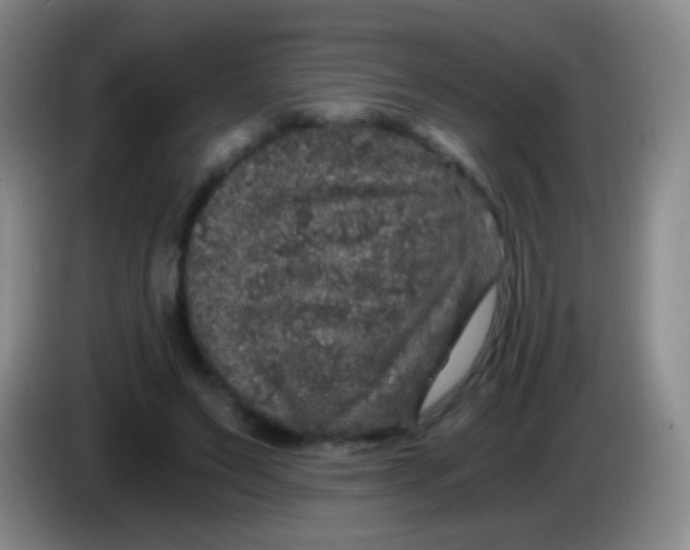 X0000084000495200703091909