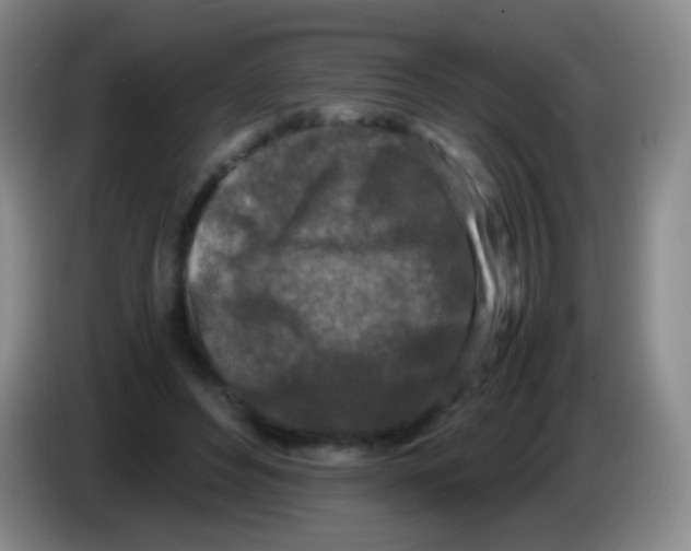 X0000084000496200703091909
