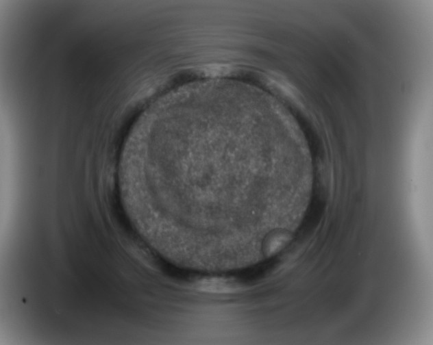 X0000084000499200703091909