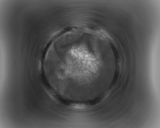 X0000084000500200703091909
