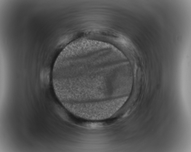 X0000084000501200703091909