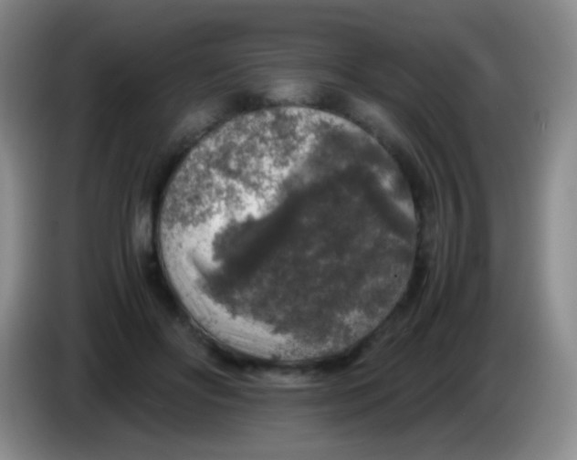 X0000084000502200703091909