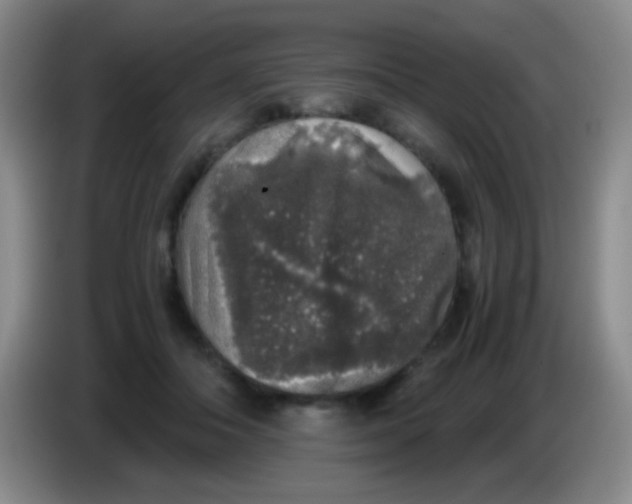 X0000084000506200703091909