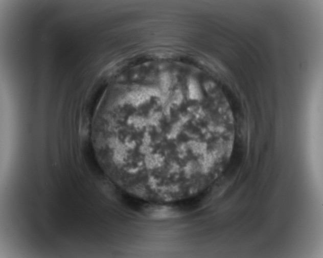 X0000084000507200703091909