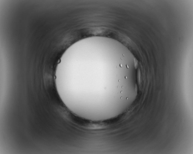 X0000084000510200703091909