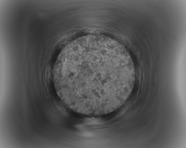 X0000084000511200703091909