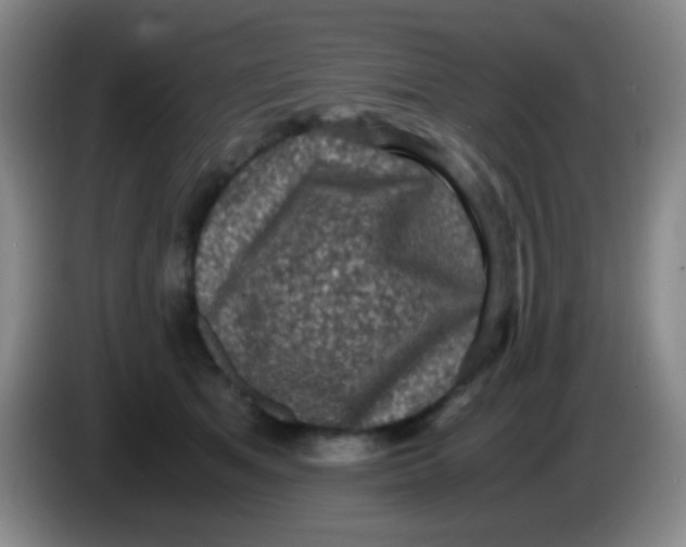X0000084000513200703091909