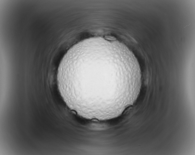 X0000084000515200703091909