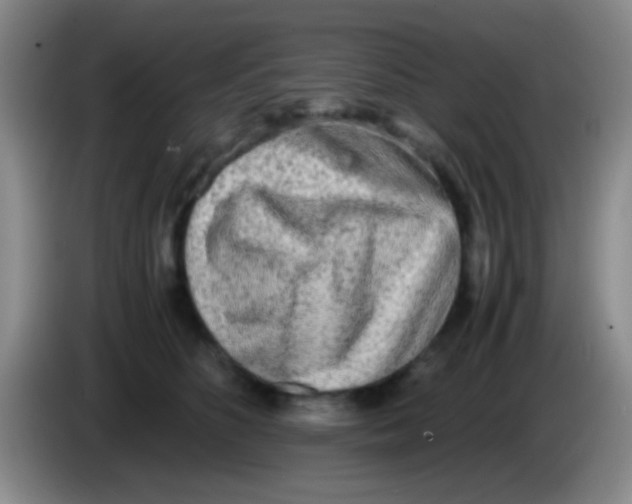 X0000084000516200703091909