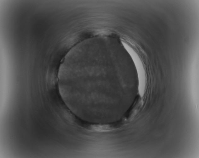 X0000084000517200703091909