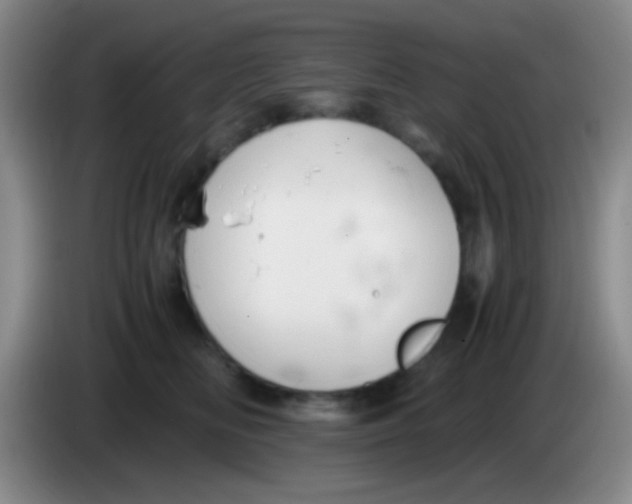X0000084000518200703091908
