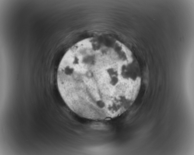 X0000084000519200703091908