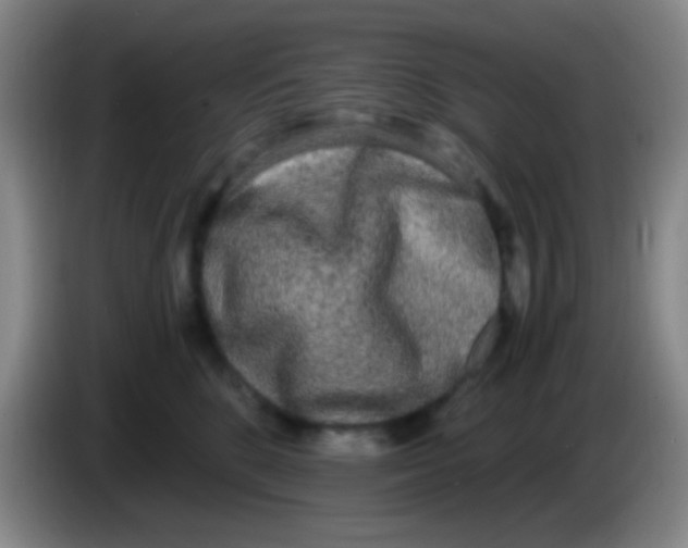 X0000084000520200703091908
