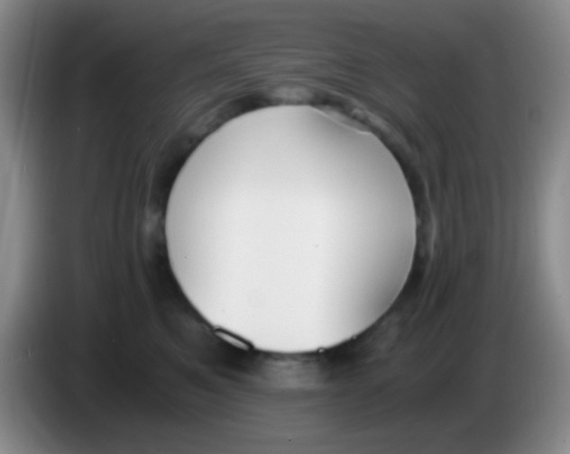 X0000084000521200703091908