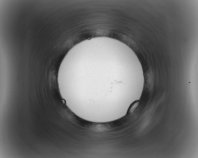 X0000084000522200703091908