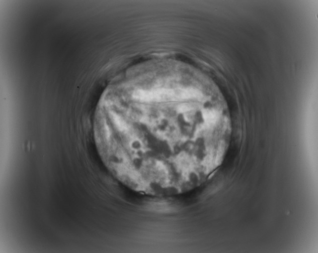 X0000084000523200703091908