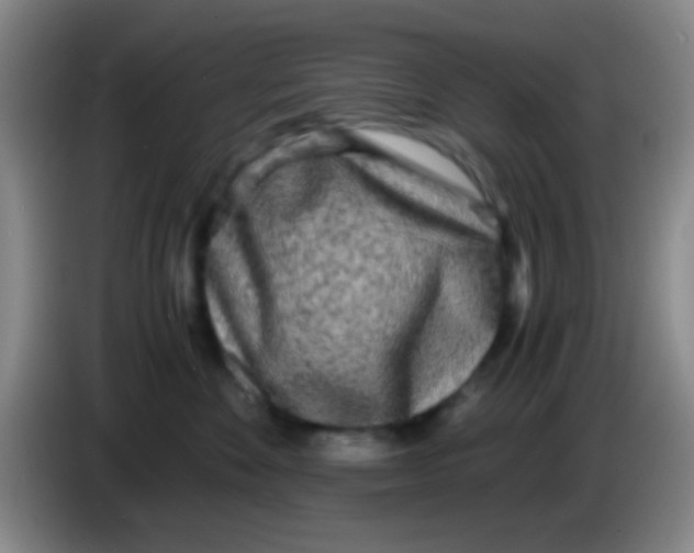 X0000084000524200703091908
