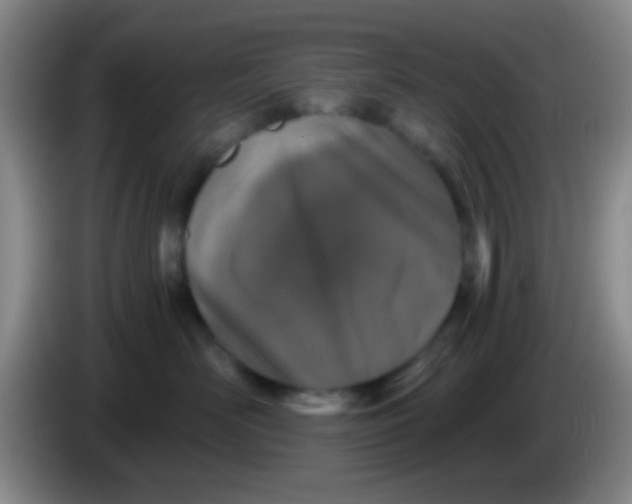 X0000084000526200703091908