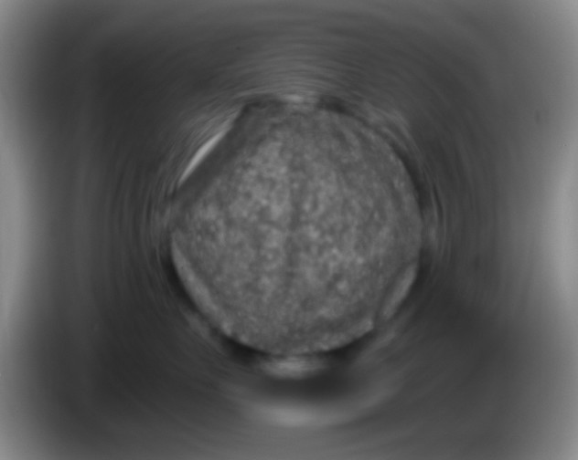 X0000084000527200703091908