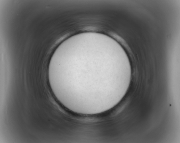 X0000084000529200703091908