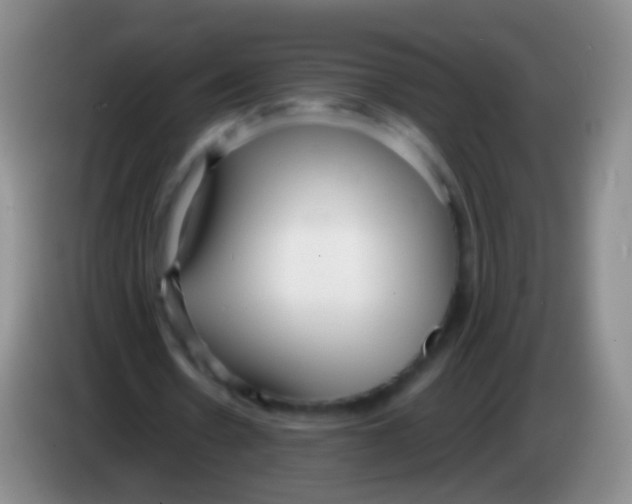X0000084000530200703091908