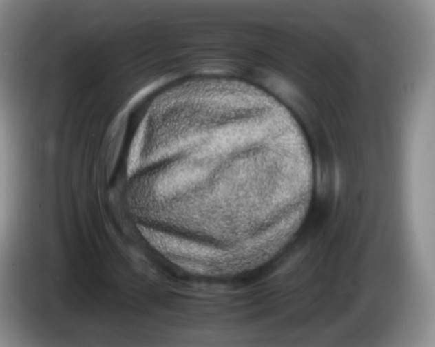 X0000084000531200703091908