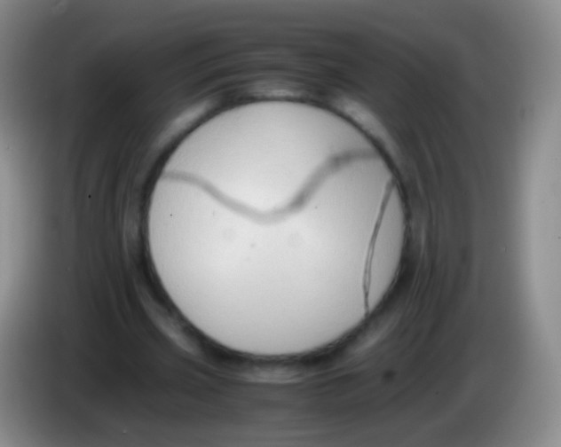 X0000084000533200703091908